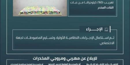 حرس الحدود بجازان يحبط تهريب 160 كيلوجرامًا من نبات القات المخدر