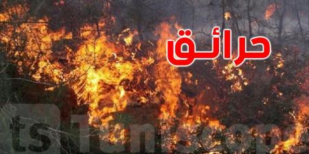 بعد التهام 120 هكتارًا من الحبوب: السيطرة على حرائق باجة وتحذيرات للفلاحين