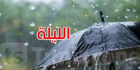 الليلة: أمطار متفرقة محليا غزيرة بالشمال الشرقي والحرارة تتراوح بين 20 و29 درجة
