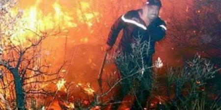 189 حريقا خلال الأربع والعشرين ساعة ..