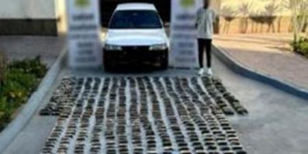 ضبط عناصر إجرامية في السويس والإسماعيلية بحوزتهم مواد مخدرة قيمتها 70 مليون جنيه
