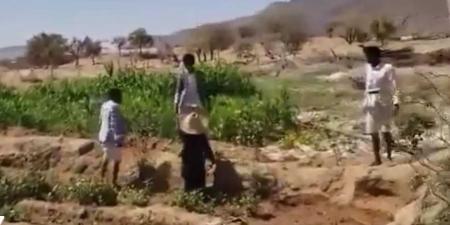 العيب الأسود في صعدة.. ميليشيا الحوثي تضرب امرأة أمام ابنها العاجز (فيديو)