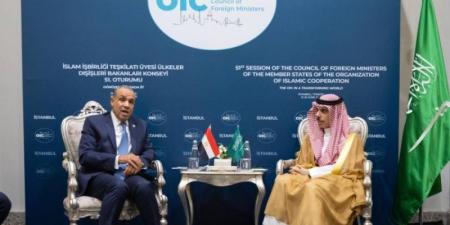 وزير الخارجية ونظيره الباكستاني يبحثان المستجدات الإقليمية والدولية
