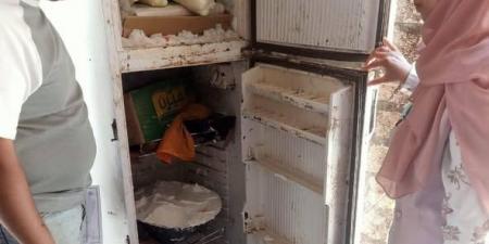 إعدام ٦٦ طن أغذية فاسدة وتحرير ٣٠ محضر مخالفات بالإسماعيلية