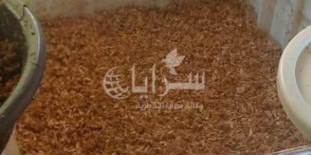 ضبط 1500 كيلو معسل داخل شقة تستخدم كمعمل في الزرقاء