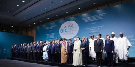 في اجتماع عربي طارئ.. وزير الخارجية يحذر من تصعيد حوثي مدعوم من طهران
