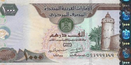 سعر الدرهم الإماراتي مقابل الجنيه اليوم الإثنين 23 يونيو 2025