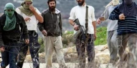صهاينة اعتدوا على الفلسطينيين قرب ترمسعيا بالضفة المحتلة