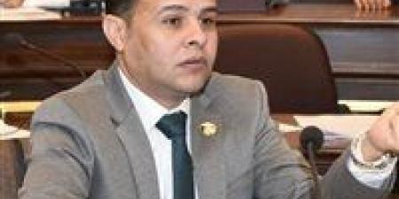 صناعة البرلمان: توجيهات الرئيس السيسي بتكثيف الاحتياطيات تعكس رؤية استباقية لحماية الاقتصاد المصري