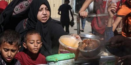 كانوا ينتظرون المساعدات: 51 شهيدا في غزّة منذ فجر اليوم.. #خبر_عاجل