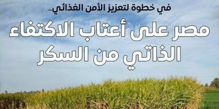 الحكومة: مصر لن تكون بحاجة لاستيراد السكر بدءًا من 2026