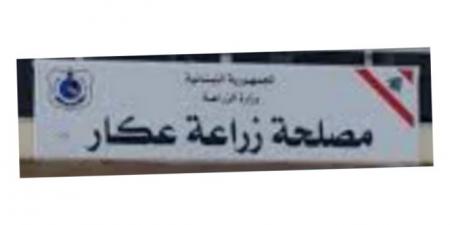 مصلحة زراعة عكار حذرت من قطع الأشجار وبيع الحطب: مخالفة صريحة للقوانين وتعدّ على الثروة الحرجية