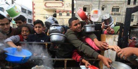 «الأمم المتحدة»: الفلسطينيون يموتون وهم يحاولون الوصول للغذاء