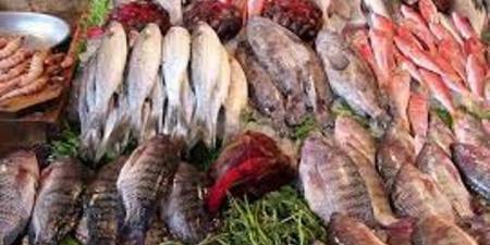أسعار الأسماك اليوم الجمعة 27-6-2025 
