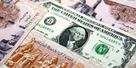 استقرار سعر الدولار في مصر مع بداية تعاملات اليوم الجمعة 27 يونيو 2025