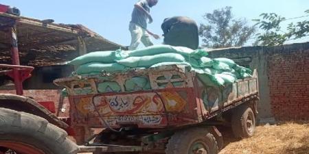 خلال 24 ساعة.. ضبط 2 طن دقيق مدعم خلال حملات تموينية