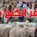 نحو تحديد سعر الكلغ الحي من أضاحي العيد