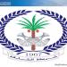 شرطة الشارقة تحذر من ترك المقتنيات الثمينة داخل المركبات
