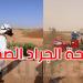 أين وصلت حملة مكافحة الجراد الصحراوي؟