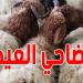 للتمتّع بأسعار معقولة في شراء أضحية العيد: توجّهوا إلى نقاط البيع المنظمة