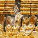 سعر الذهب في السعودية اليوم الأحد 25 مايو 2025