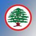 القوات: سنتقدّم بادعاء قانوني ضد ألفرد رياشي على خلفية بيانه الذي تضمن فبركات وادعاءات باطلة