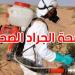 أين وصلت الحملة الوطنية لمكافحة الجراد الصّحراوي بالجنوب التّونسي؟