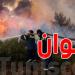 حريق يأتي على 4.5 هكتارات من المحاصيل الزراعية في بئرمشارقة