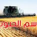 تقدم موسم تجميع الحبوب لصابة 2025: 682.190 ألف قنطار إلى غاية 2 جوان