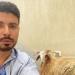 «هيموتوك يا غبي اهرب».. محمد أنور يحتفل بعيد الأضحى على طريقته