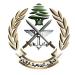 الجيش: ضبط كمية من الأسلحة والذخائر الحربية والمخدرات وتوقيف أشخاص لارتكابهم جرائم مختلفة