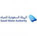 الهيئة السعودية للمياه تتسلم شهادتين من موسوعة غينيس لرقمين قياسيين جديدين