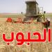 وزارة الفلاحة تدعو لحماية الحبوب من تقلبات الطقس