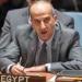 نائب رئيس حزب المؤتمر: كلمة مصر في الأمم المتحدة صفعة دبلوماسية على وجه ازدواجية المعايير الدولية