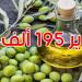 تصدير 195 ألف طن من زيت الزيتون نحو أكثر من 60 بلد
