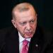 إردوغان رحب خلال محادثات مع ترامب بالهدنة بين إسرائيل وإيران ودعا إلى "حوار وثيق" بشأن روسيا وأوكرانيا