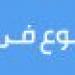 بوتين يؤكد استعداد روسيا لجولة جديدة من المفاوضات مع كييف