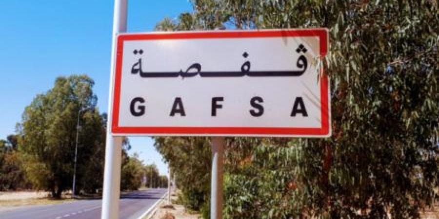 قفصة: افتتاح فعاليات الورشة الوطنية للمشاريع التربوية البيداغوجية بالمدارس الابتدائية