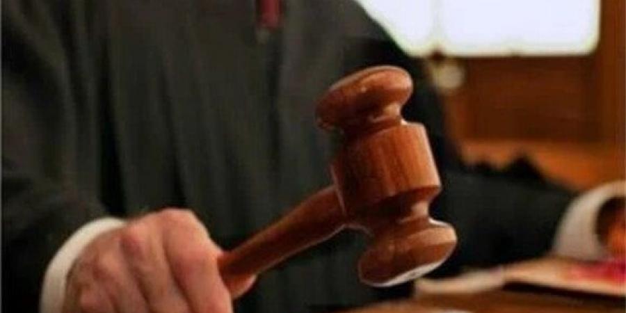 محكمة جنايات مستأنف بورسعيد تؤيد إدانة متهمين بالاعتداء على صغيرتين