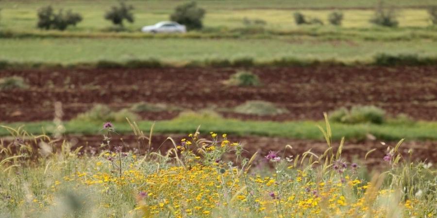 ارتفاع تدريجي في درجات الحرارة حتى الجمعة
