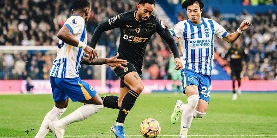 بث مباشر.. شاهد مباراة وولفرهامبتون وبرايتون في الدوري الإنجليزي