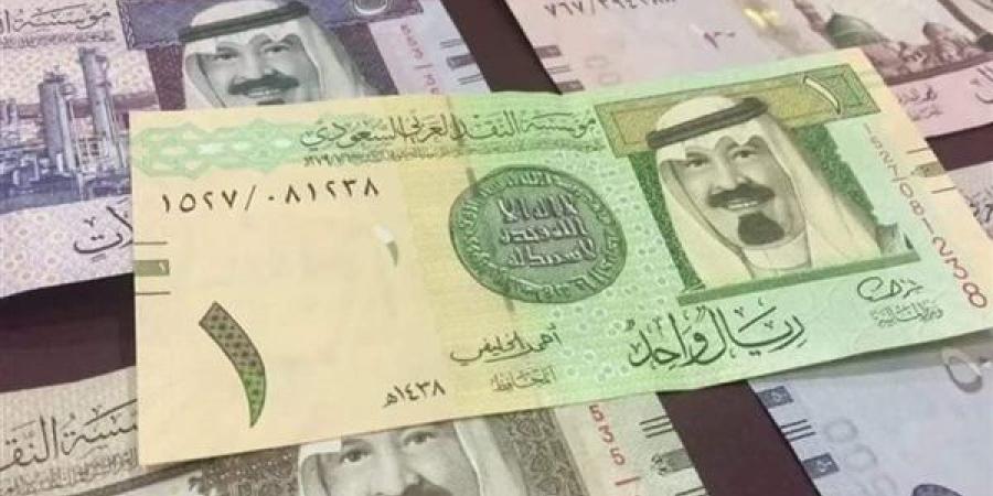 الريال السعودى يسجل 13.48 جنية فى السوق المصرفى المصرى