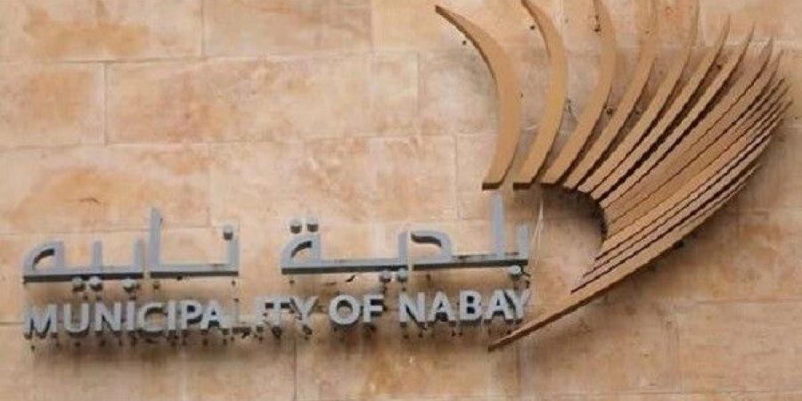 بشير ابي فاضل لـ"النشرة": خطأ مادي بلجان القيد في قصر العدل بالجديدة أدت لخسارتي بالانتخابات البلدية في نابيه وقدمت شكوى لشورى الدولة