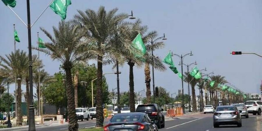 المملكة تستخدم تقنية إعادة تدوير الأسفلت لتسريع صيانة طرق الحج وتقليل التكاليف