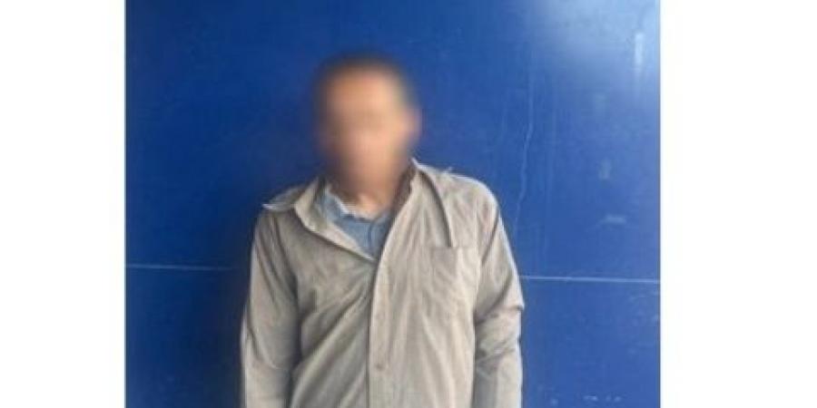 ضبط شخصين تعديا على سائق وسحلاه باستخدام تروسيكل بالدقهلية  