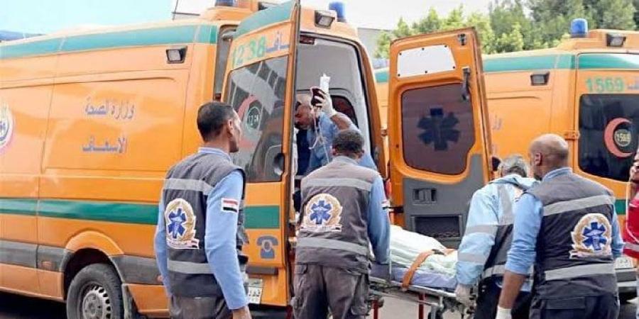 تهور السائق.. إصابة 8 عمال في حادث تصادم مروع بزراعي المنيا
