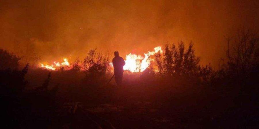 سوريا.. فرق الإطفاء تواصل مكافحة حرائق غابات اللاذقية