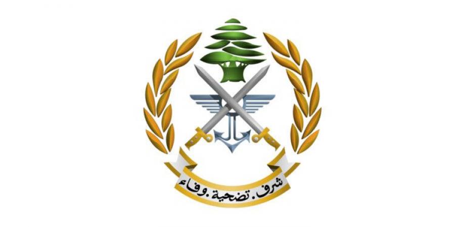 الجيش: توقيف شخصَين لارتكابهما جرائم مختلفة