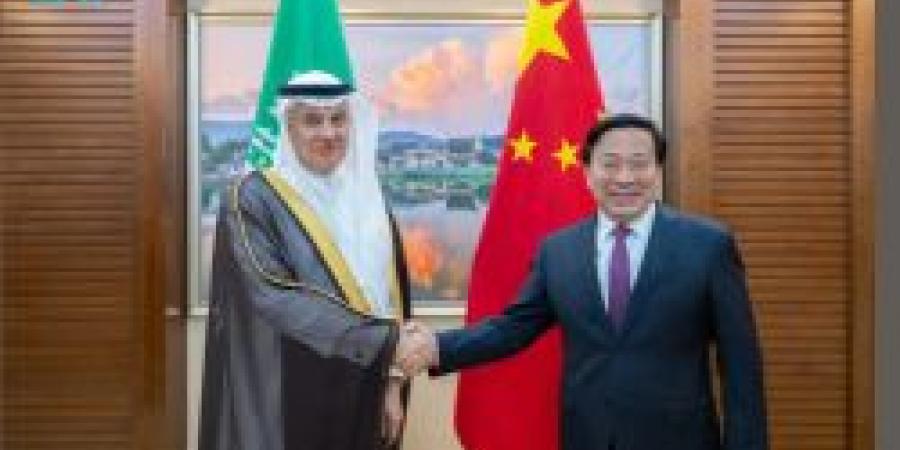 وزير "البيئة" يبحث آفاق التعاون المثمر في مجالات المياه والزراعة مع الصين