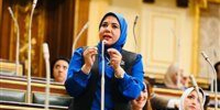 نائبة التنسيقية هيام الطباخ توافق على منحة لدعم استراتيجية مصر للسكان.. وتدعو لزيادة وعي المواطنين بتنظيم الأسرة والصحة الإنجابية